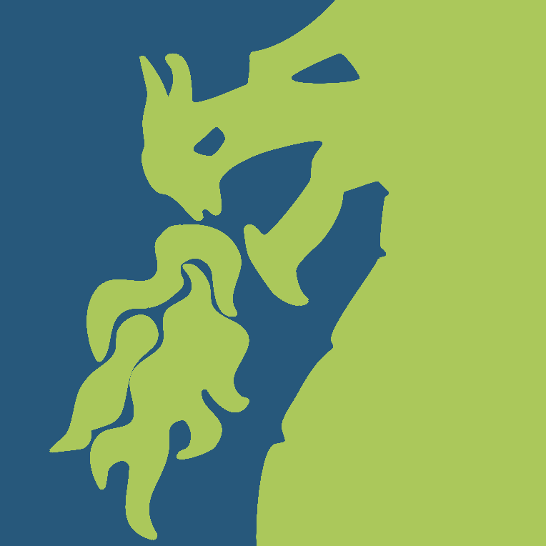 village dragon logo